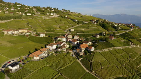 swiss houses surrounded by vineyard fields in aran village, lavaux, switzerland with lac leman revealed