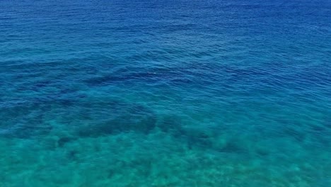 Panning-aerial-shot-of-a-snorkeler-in-Maui-Hawaii-in-beautiful-with-blue-water,-sand-and-coastline