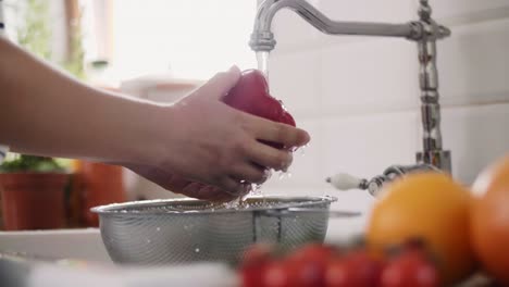 handheld view of woman’s hands washing colorful peppers/rzeszow/poland