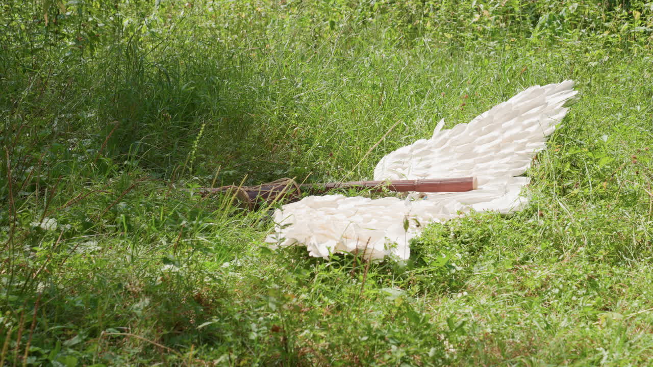 Giant bird wing lying on green grass with wooden staff resting on top, surrounded by natural meadow plants, evoking mystery and fallen celestial presence within calm wilderness atmosphere