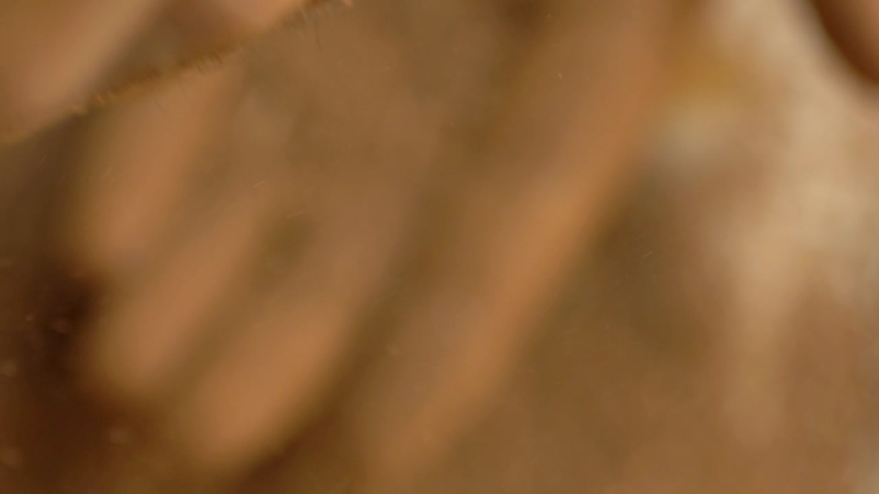 foto macro de manos procesando polvo de raíz de madder para teñir textiles orgánicos, hierba natural