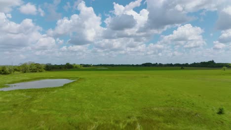 Toma-Aérea-De-Gran-Angular-De-Cuerpos-De-Agua-Serenos-En-Medio-De-Exuberantes-Campos-Verdes-Bajo-Un-Cielo-Azul-En-Arauca,-Colombia,-Durante-El-Día