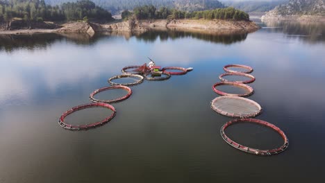 aerial view over a fish farm with lots of fish enclosures on cages