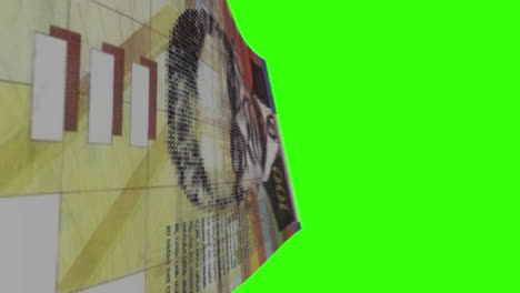 100 new israeli sheqalim banknote on green screen