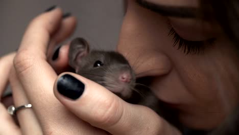 beautiful lovely girl holds a hand a small home little pet brown mouse close up. she pats her kisses. smiles