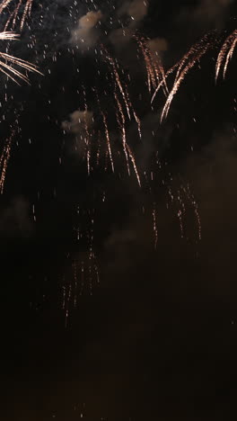 fireworks display over the barcelona skyline vertical format video