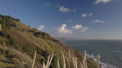 drone volando sobre la parte superior de la hierba de pampa en la autopista 1 en el norte de california con el océano pacífico en el fondo