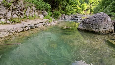 Este-Sereno-Metraje-De-Archivo-Captura-Un-Pequeño-Y-Tranquilo-Río-Con-Un-Lento-Flujo-De-Agua,-Rodeado-De-Exuberante-Vegetación.