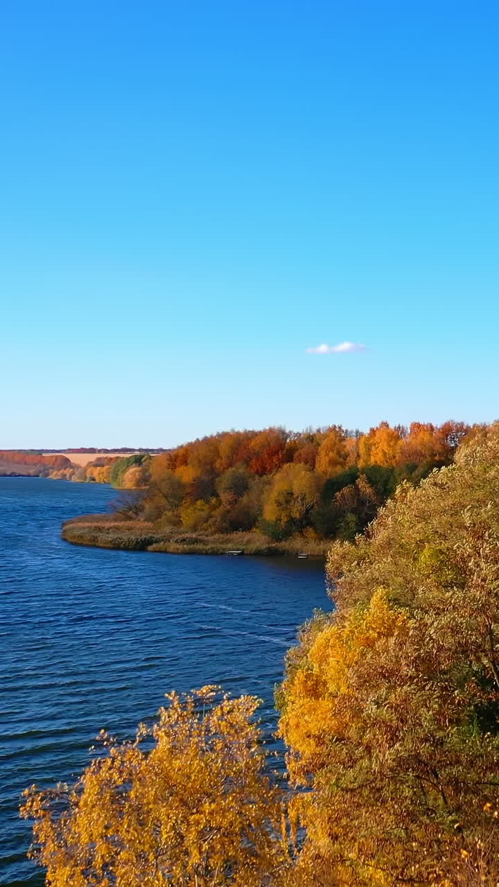 Beautiful autumn nature landscape. Flying above dark blue river and regular trees. Drone footage of autumn scenery. Vertical video