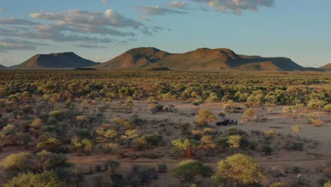 Paisajes-Safari-Reserva-Parque-De-áfrica-Drone-Vista-Aérea