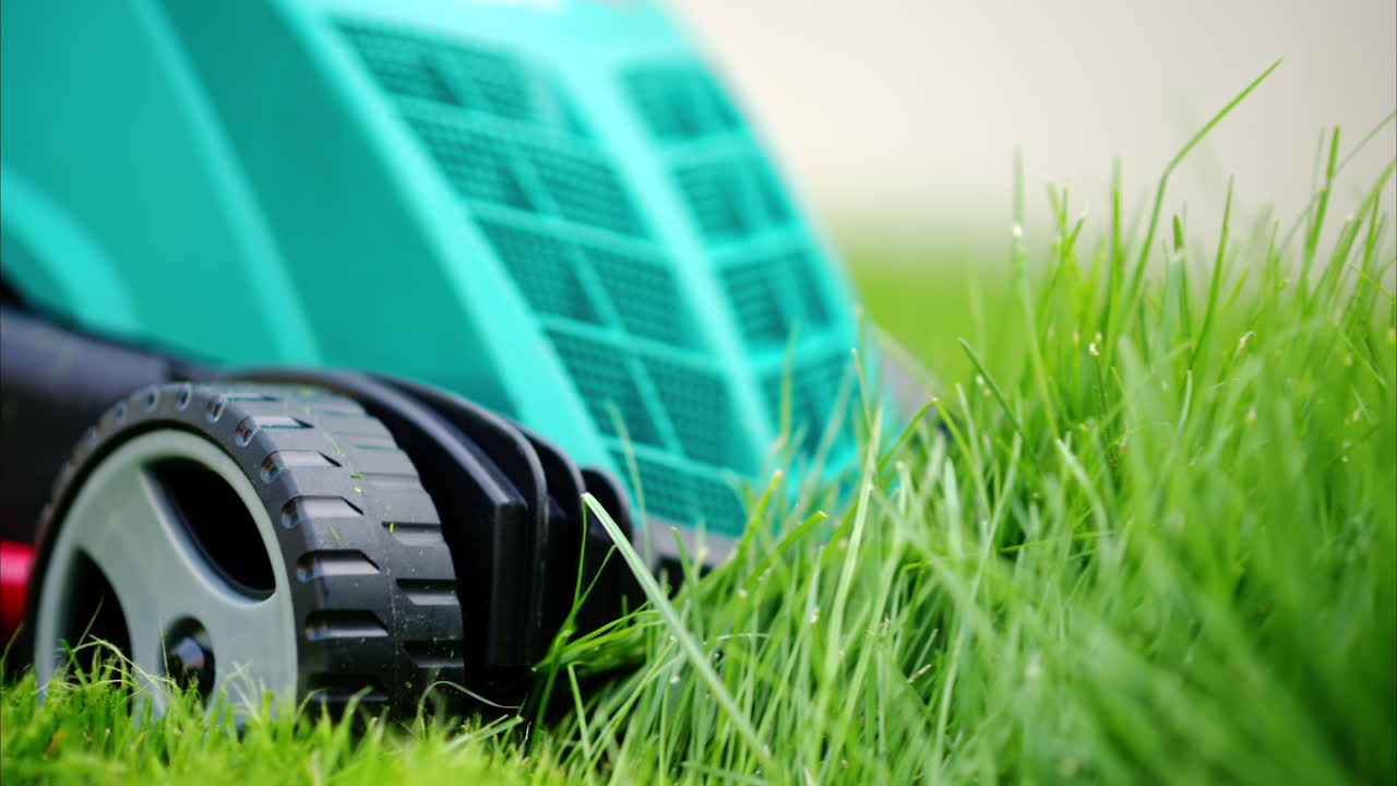 Close up of turquoise lawn mower machine cutting the grass