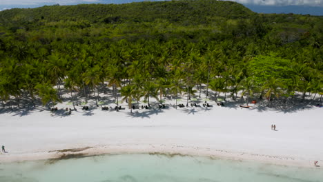 Inclinación-Aérea-Hacia-Abajo-Que-Muestra-Palmeras-En-La-Playa-Privada-Del-Club-De-Playa-De-Bohol,-Isla-De-Panglao