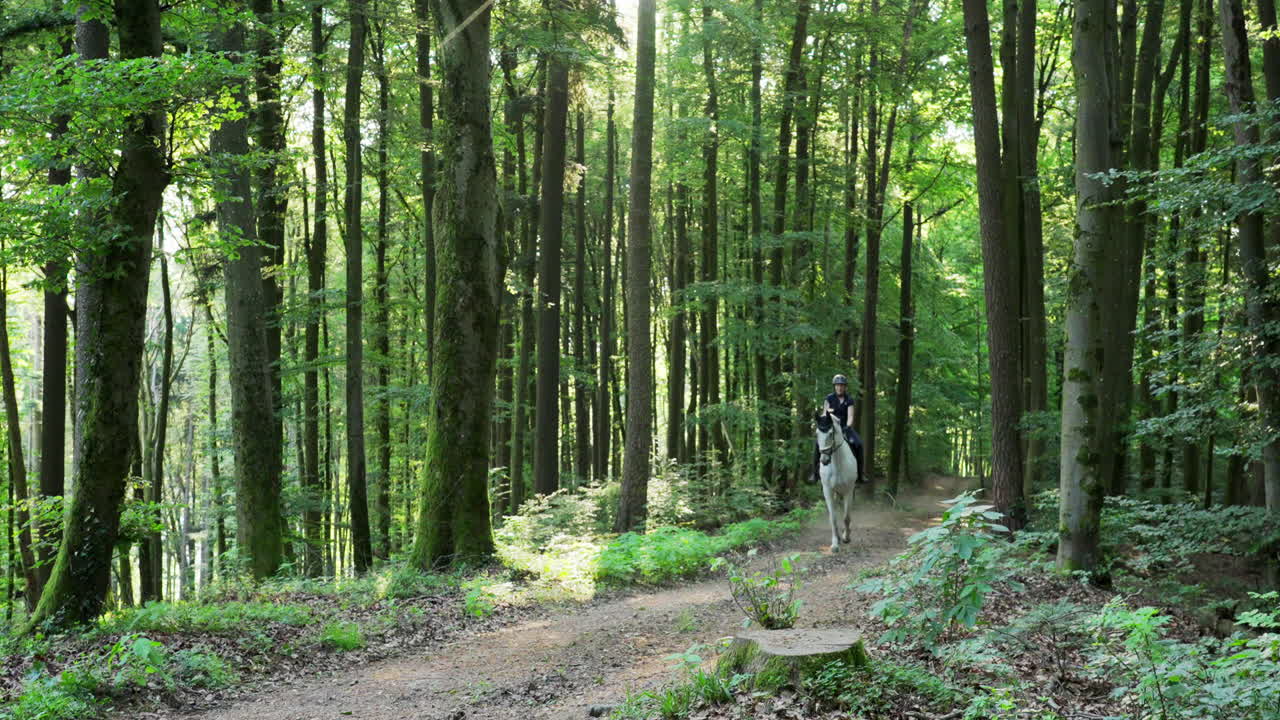 한 여자 가 숲 을 가로질러  ⁇  말 을 타고 달리고 있다