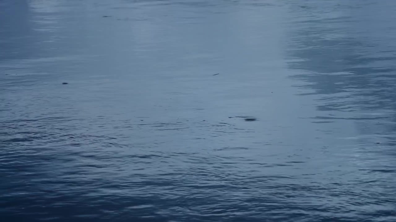 Gentle ripples on dark blue water surface