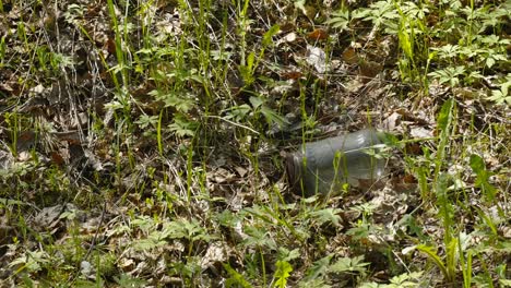 a piece of glass thrown on the forest ground in estonia