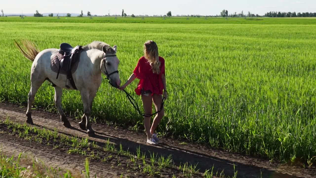 mujer caminando con un caballo en un campo