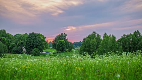 Bright-Setting-Sunset-Sky-Over-A-Tranquil-Countryside-With-View-Of-Perennial-Foliage-And-Conifer-Trees