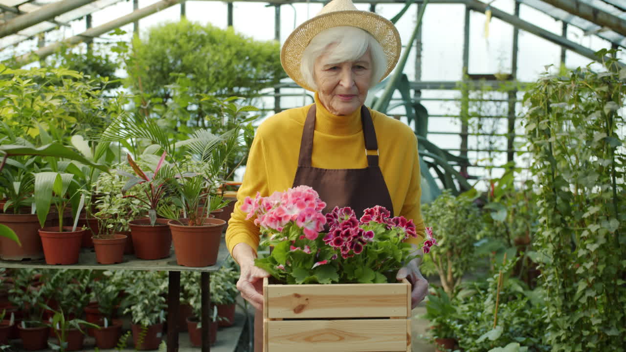 Senior Woman Gardener in Greenhouse with Flowers