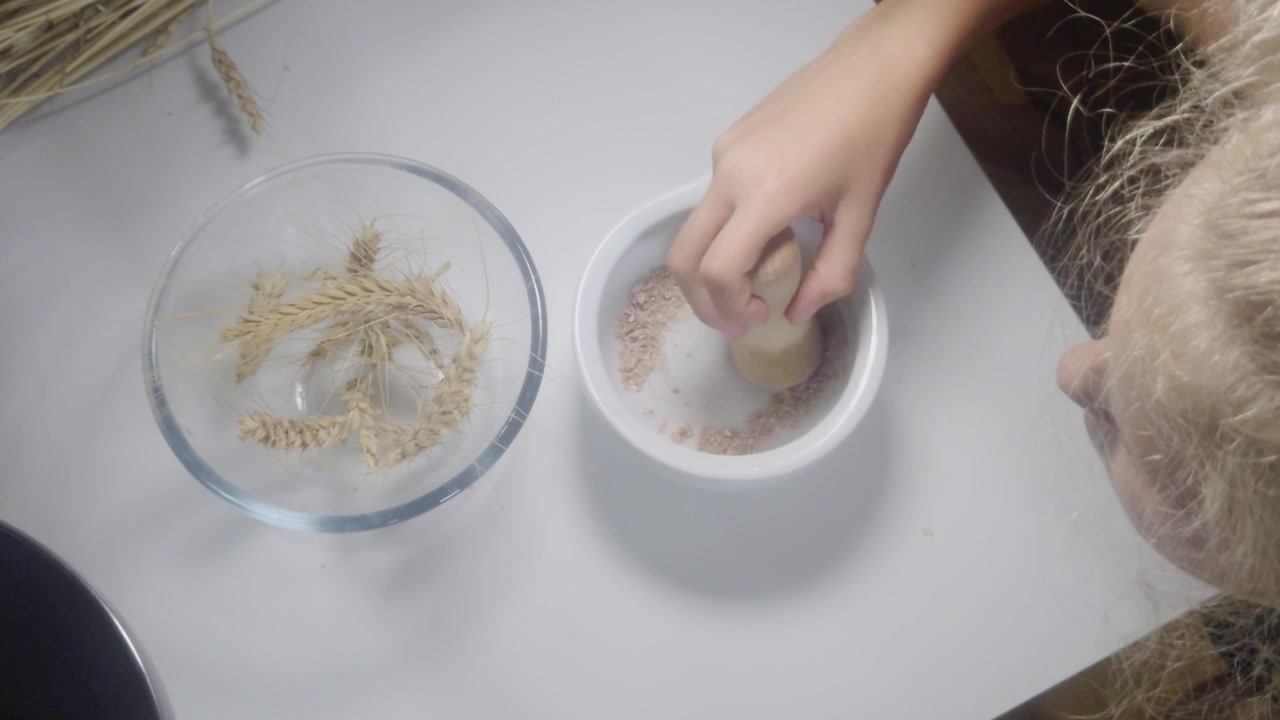 Una ripresa ravvicinata dall'alto mostra uno studente che usa un pestello di legno per macinare chicchi di grano in farina grossolana all'interno di un mortaio di ceramica accanto a una ciotola di vetro durante una lezione pratica di agricoltura Waldorf per la terza elementare