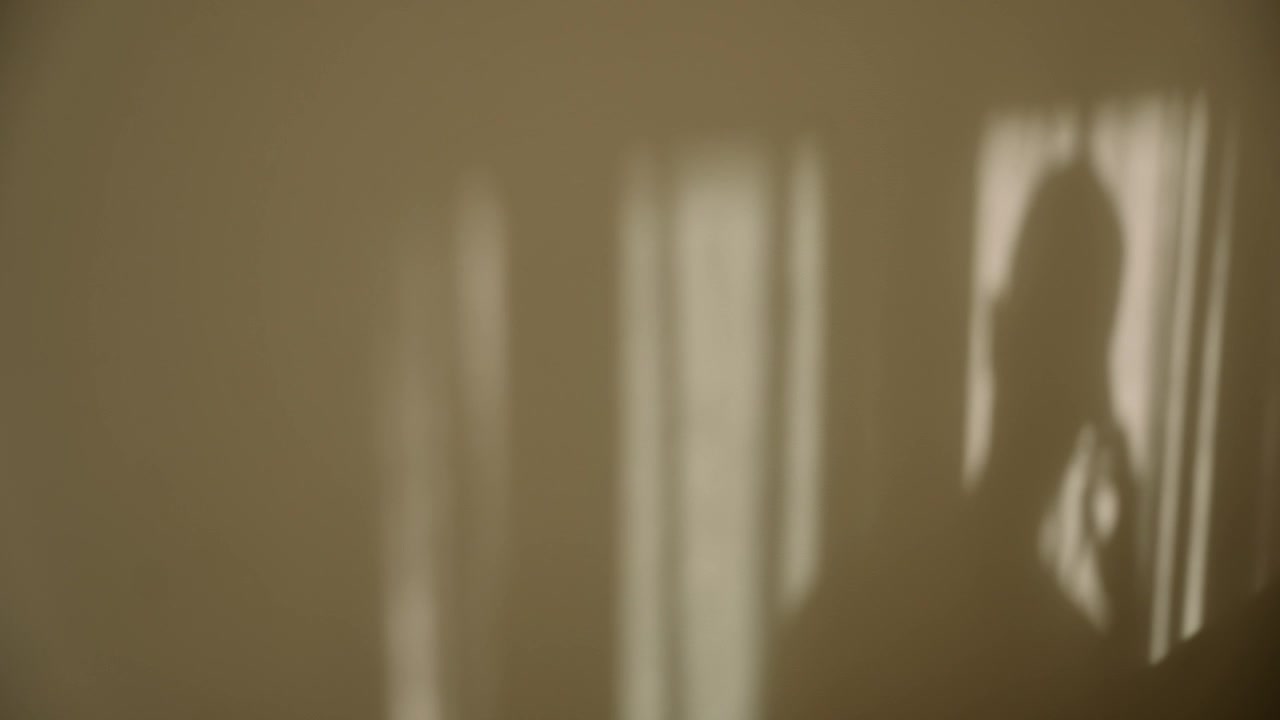 Figure of a man or businessman talking on mobile phone in silhouette on wall inside office or home. Conversation or business deal. Suspicious or criminal activity. Shadow created by sunlight in room