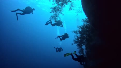 siluetas de buzos en el fondo del mar