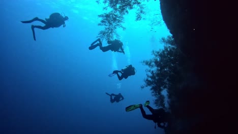 silhouettes of divers on the background of sea