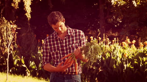 Happy-handsome-man-holding-carrot