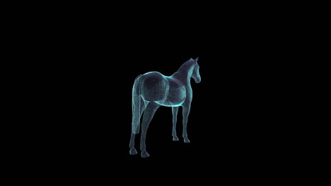 horse hologram wireframe. nice 3d animation on a black background with a seamless loop for futuristics projects