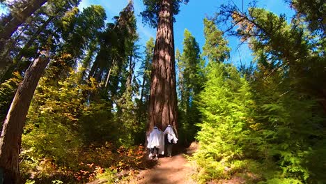 wide view of two people dancing underneath a tree