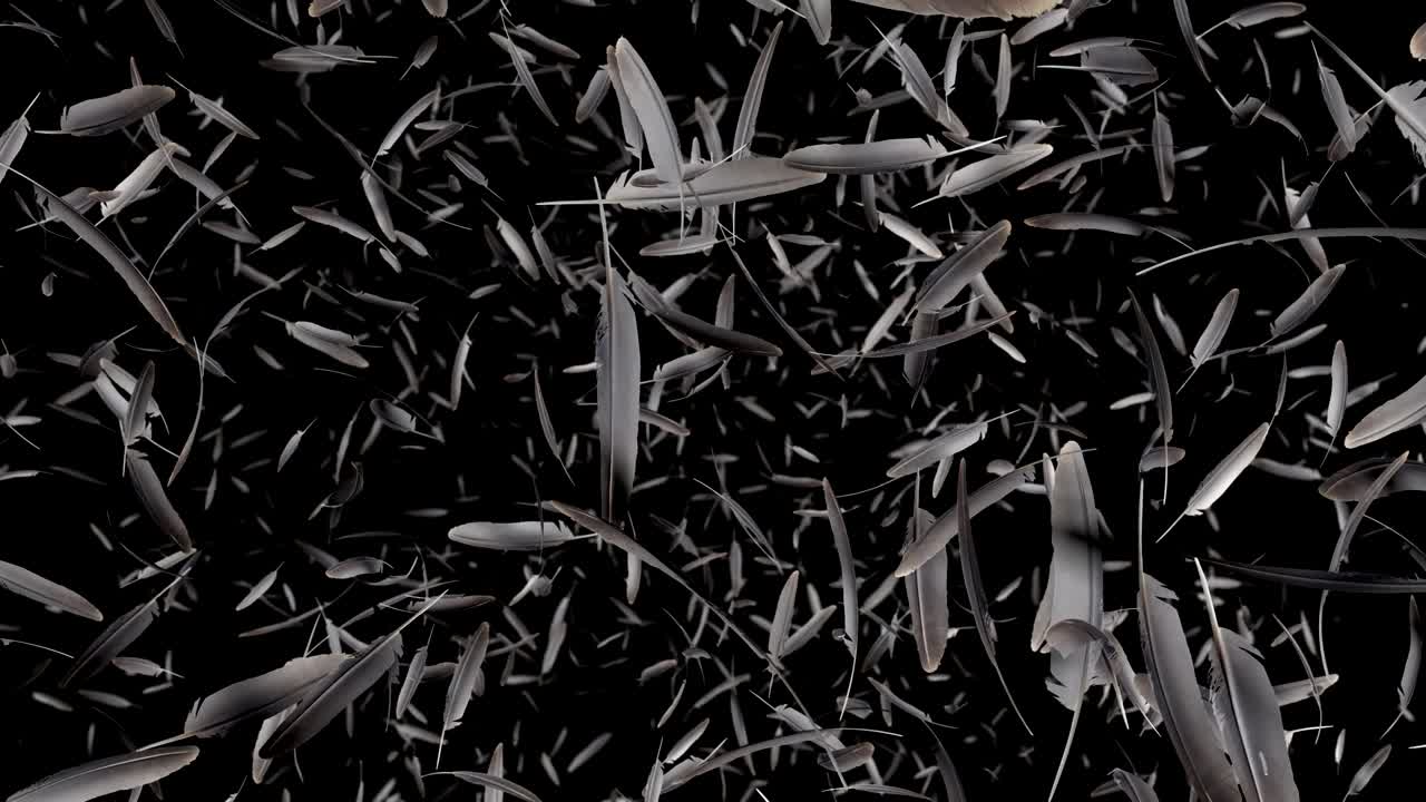 Falling feathers with alpha channel