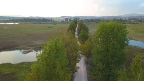 tiro decente de drone de un camino recto en el campo a través de un río