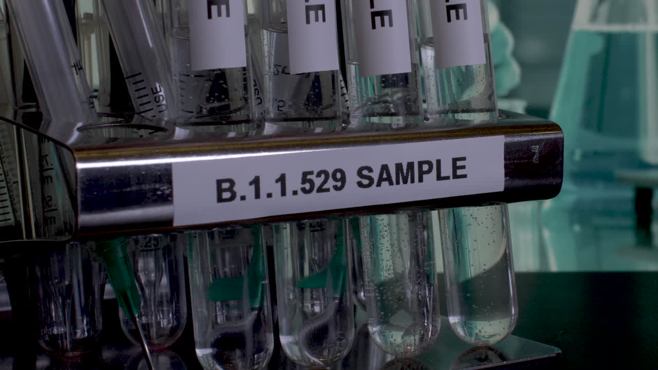 Close up tilt pan of a laboratory rack being filled with research samples of the new COVID 19 variant Omicron, as the new strain raises healthcare concerns restricting global travel
