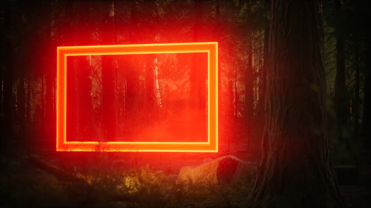 밤의 숲에서 네온 빛나는 직사각형 프레임