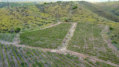 Drohnenaufnahme-Eines-Großen-Bauerndorfs