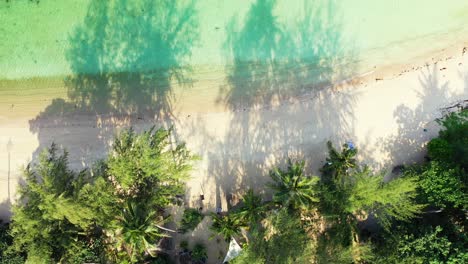 beautiful tropical lagoon with azure sea water, secluded sandy beach and palms