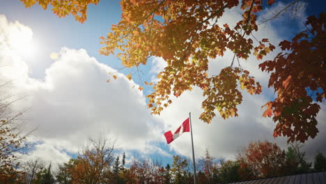 flag of canada waving in the national park.
