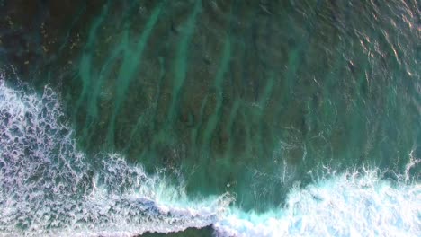 Flying-Over-Coral-Reef-in-Clear-Ocean