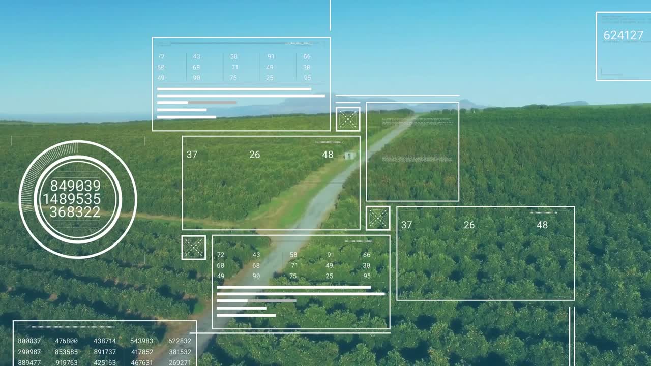 Drone moving down dirt road starting AR overlays, green then dark units appearing, monitoring crops