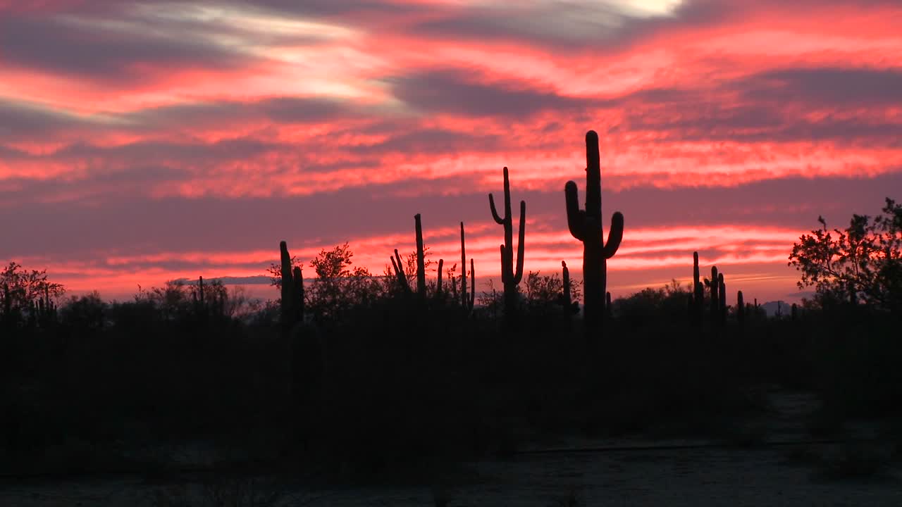 las puestas de sol en el horizonte de un paisaje desértico