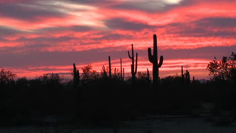 the sunsets on the horizon of a desert landscape