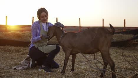 happy woman feed from hands cute goat on local farm