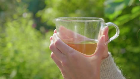 female hands hold clear glass of steaming tea outdoors, close-up