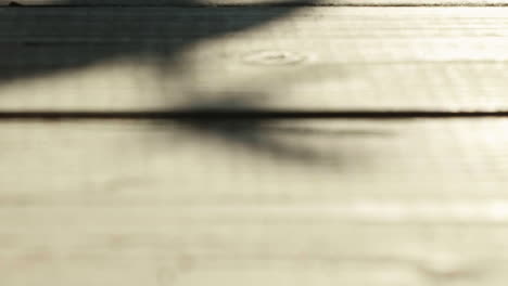 single wood screw in silhouette on wooden table, tilt up to black