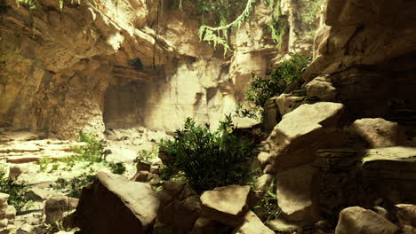 daylit cave with lush greenery and sunlit rocks