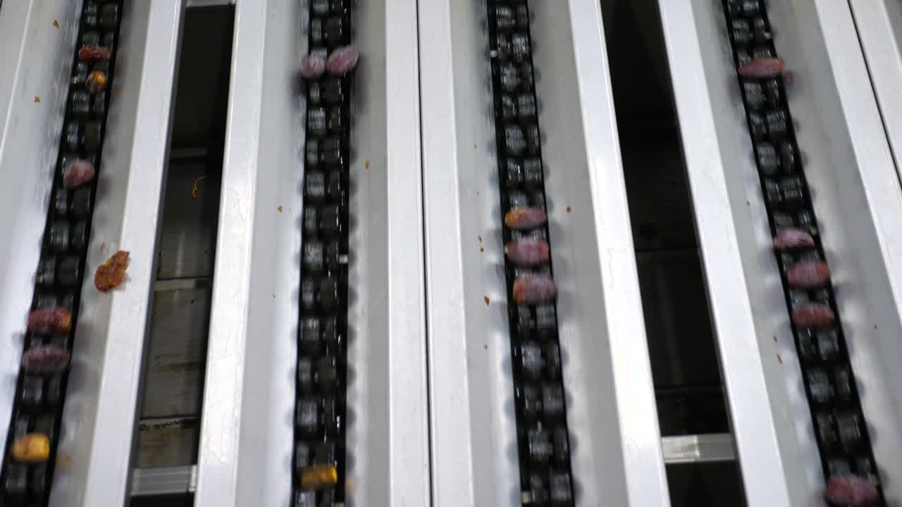 날짜 공장 ai 등급 및 분류 컨베이어 기계, 추적 샷