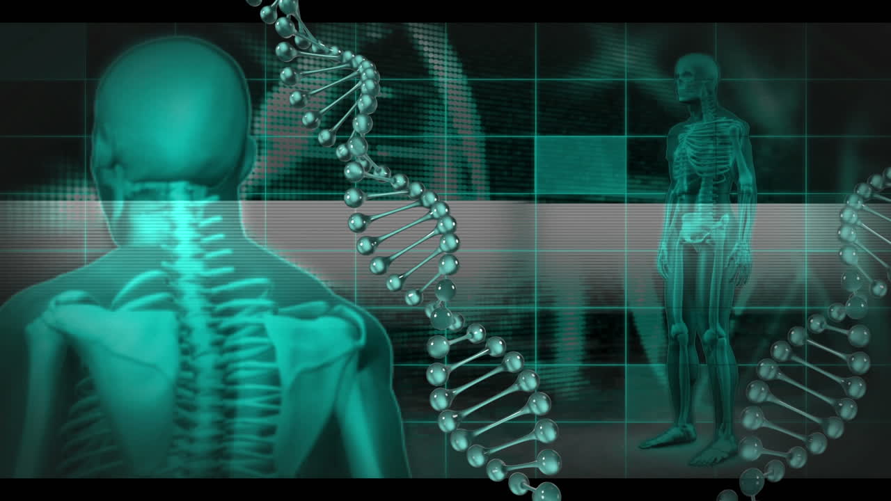 cuerpo humano, adn y datos médicos