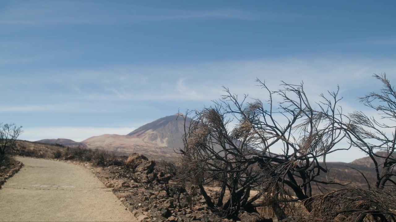 Area naturale devastata dal fuoco, cambiamento climatico, riscaldamento globale. Tema post-apocalittico.