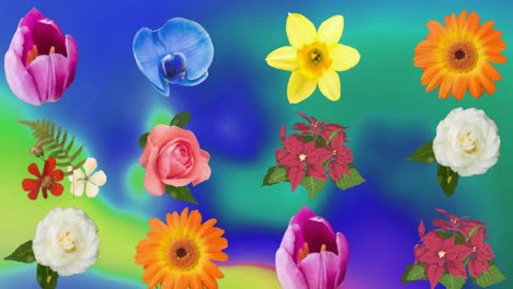 animación de flores sobre fondo verde, azul y amarillo