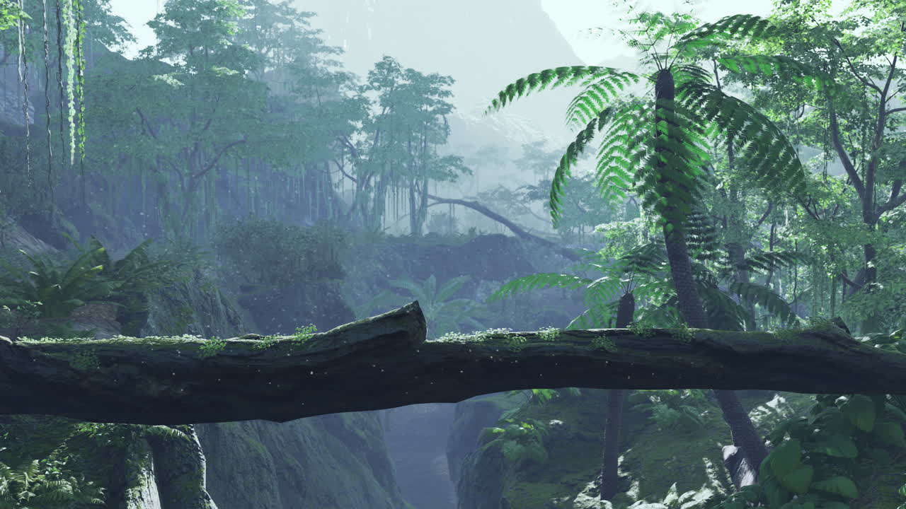 selva tropical de colombia américa del sur puesta de sol