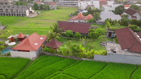 Campos-De-Arroz-Y-Villas-De-Vacaciones-En-Canggu,-Bali,-Indonesia---Toma-Aérea-De-Drones